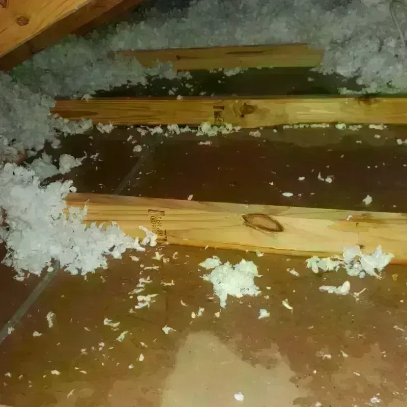 Attic Water Damage in Live Oak, CA