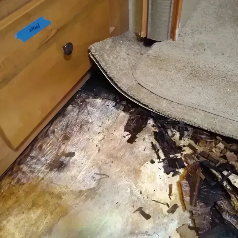 Best Wood Floor Water Damage Service in Live Oak, CA